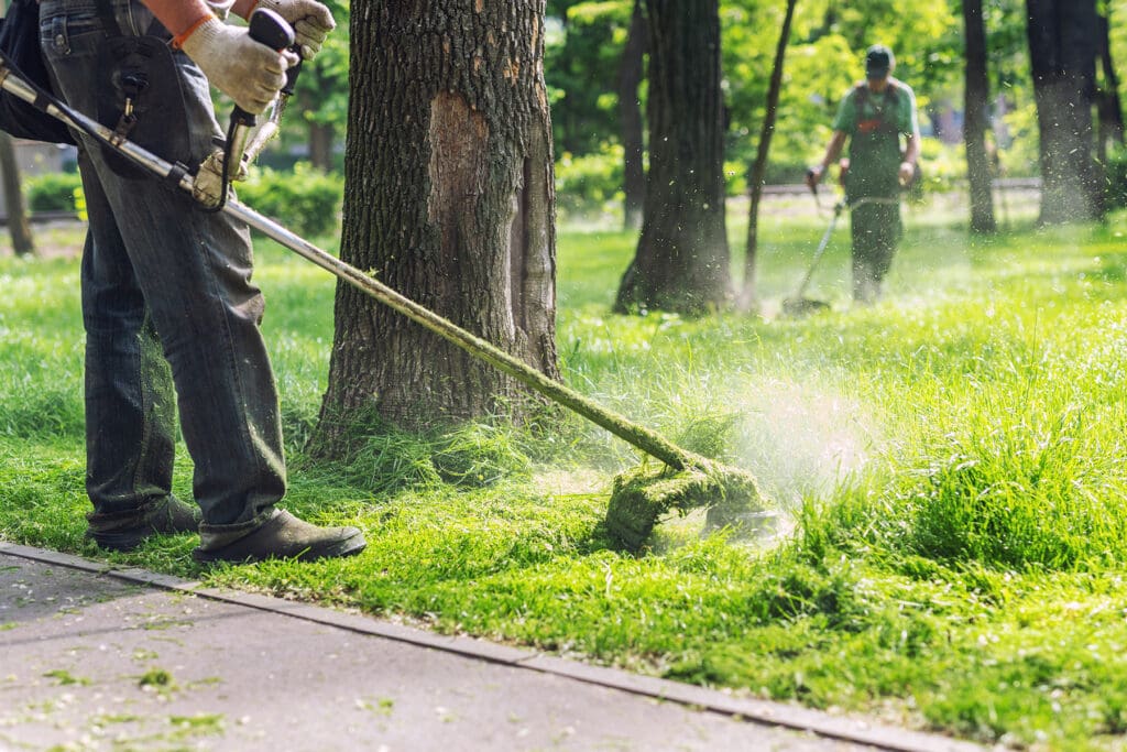 fall yard clean up services