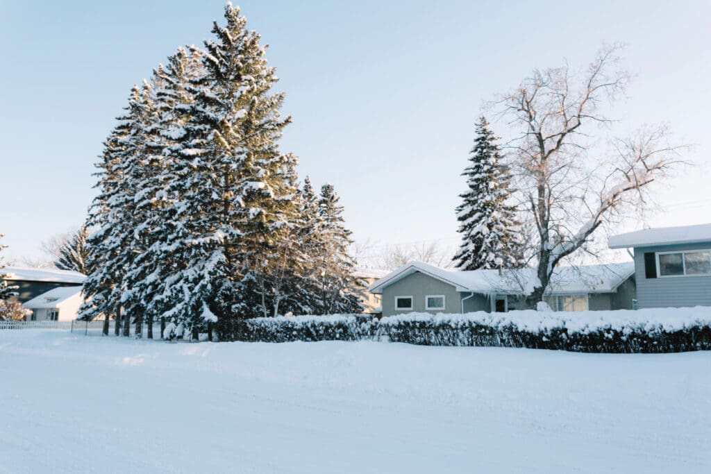 winterize lawn